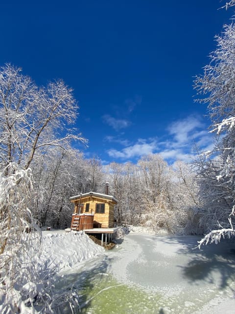 Cabana vânătorului House in Brașov County