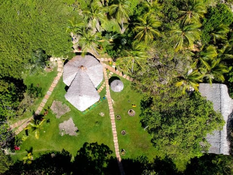 Natural landscape, Bird's eye view, Garden, Garden view