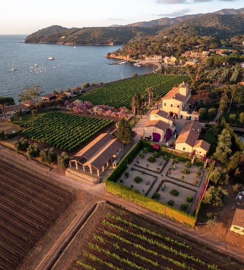 Property building, Natural landscape, Bird's eye view, Sea view