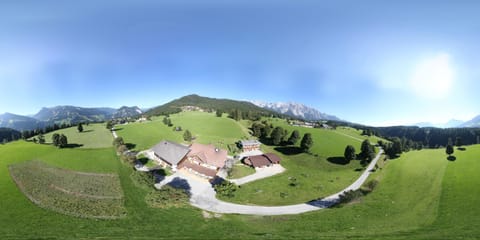 Bird's eye view, Summer
