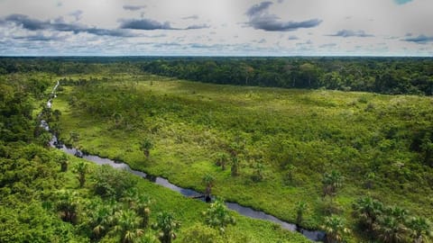 Natural landscape, Activities, Bird's eye view