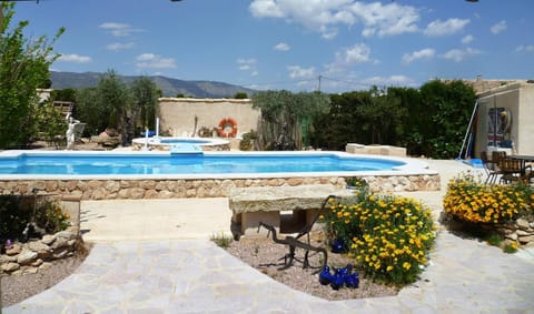 Garden, Pool view, Swimming pool