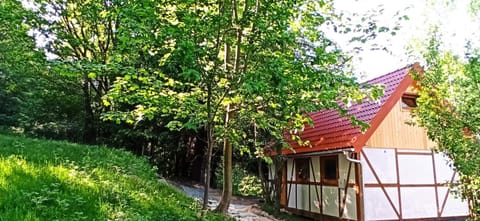 Dom na Końcu Świata Farm Stay in Lower Silesian Voivodeship