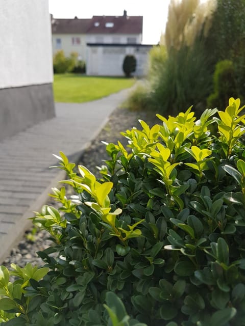 Pension Harleshausen Bed and Breakfast in Kassel