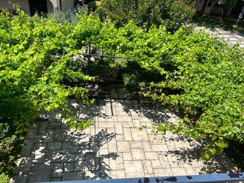 Apartment Bianco Apartment in Poreč