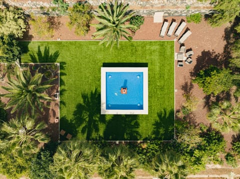 Natural landscape, Bird's eye view, Garden, sunbed