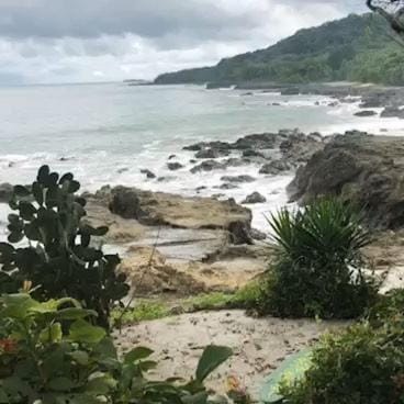 Natural landscape, Beach, Sea view