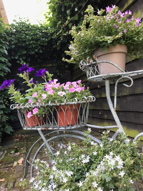 Facade/entrance, Garden