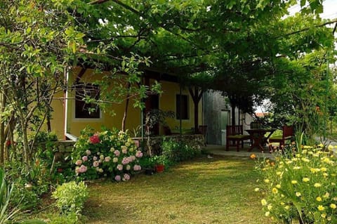 Property building, Garden, Inner courtyard view