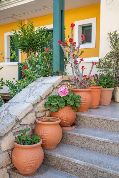 Patio, Facade/entrance