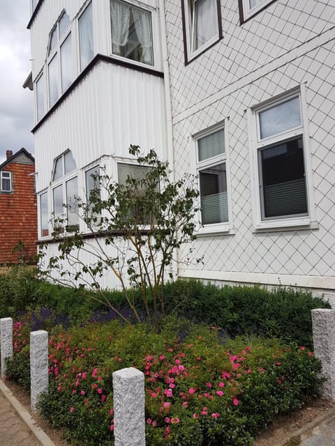 Property building, Spring, Day, Garden, Garden view