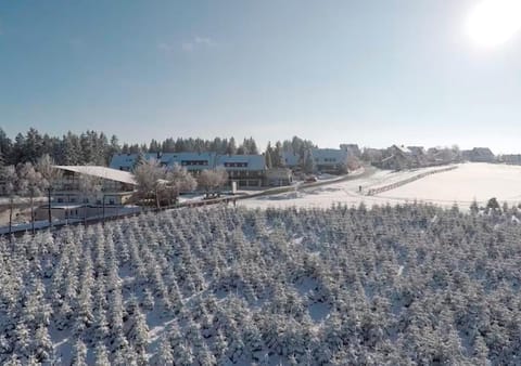 Bird's eye view, Winter