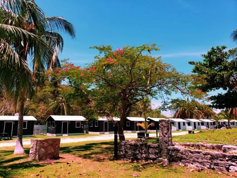 ECO-CABAÑAS Cancún Hotel in Cancun