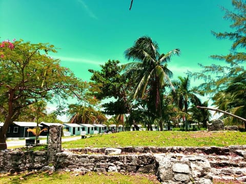 ECO-CABAÑAS Cancún Hotel in Cancun