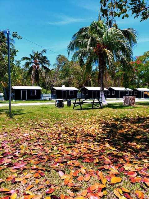 ECO-CABAÑAS Cancún Hotel in Cancun