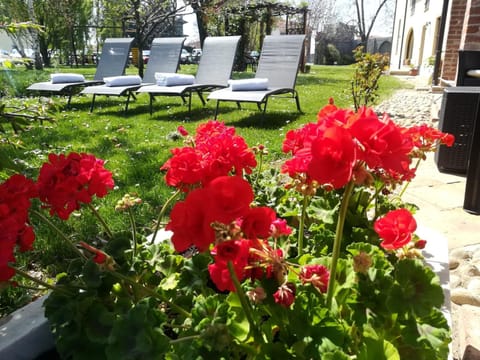 Spring, Day, Garden, Living room, Seating area, Garden view, sunbed