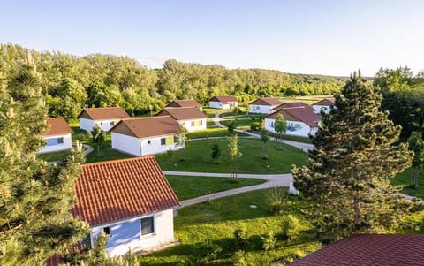 Bird's eye view, Garden