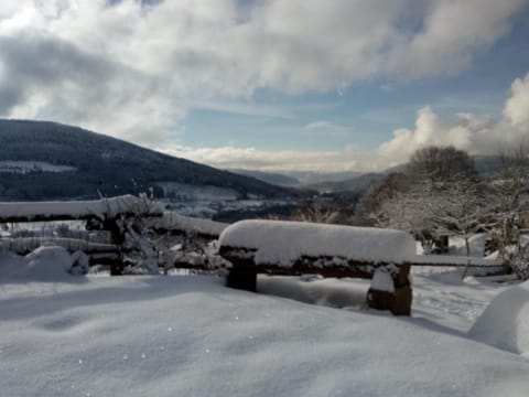 Natural landscape, Winter, Garden, Hiking, Mountain view