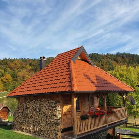 Draganovi Konaci Apartment in Zlatibor District, Serbia