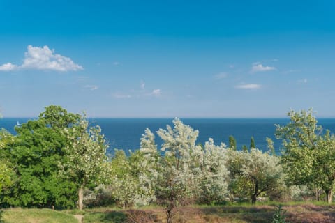 Natural landscape, Sea view