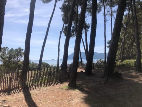 Studio Bord de Mer et VUE sur MER WIFI OFFERT Apartment in La Seyne-sur-Mer