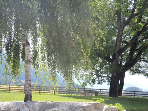 Natural landscape, Garden, Garden view