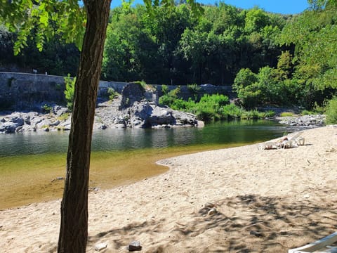Natural landscape, Beach, River view