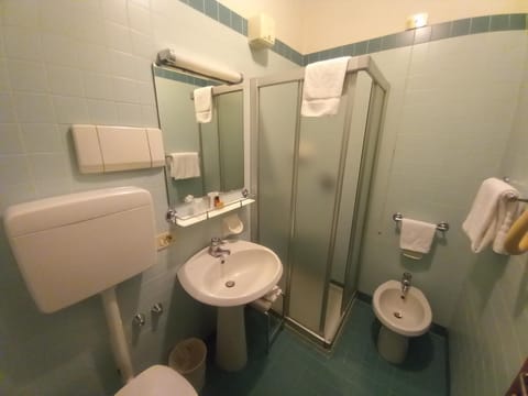 Shower, Toilet, Bathroom, bidet, towels