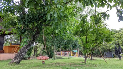 Natural landscape, Garden, Garden view