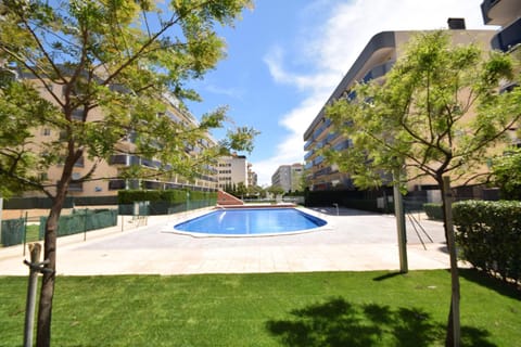 Garden, Pool view, Swimming pool