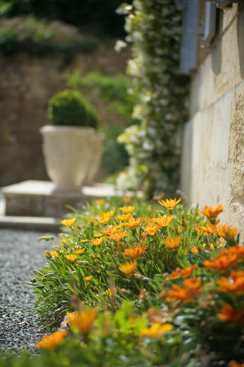 Clos 1906 Bed and Breakfast in Saint-Émilion