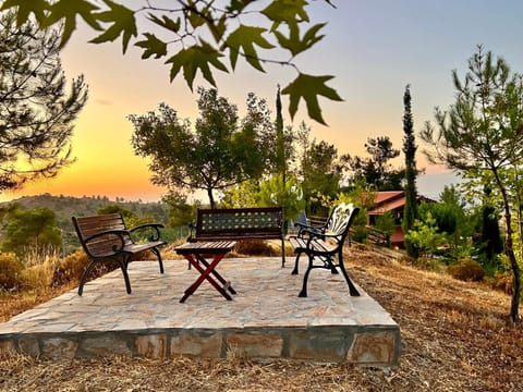 Patio, Natural landscape, Garden, Garden view, Sunrise, Sunset