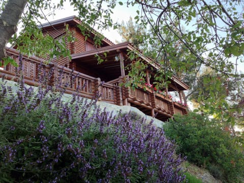 Property building, Spring, Day, Garden, Garden view