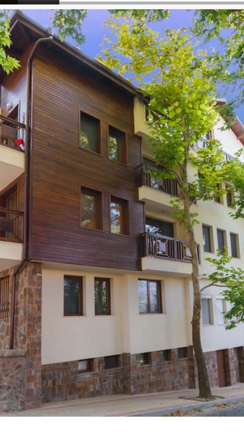 Borov Park 1 Apartment in Velingrad