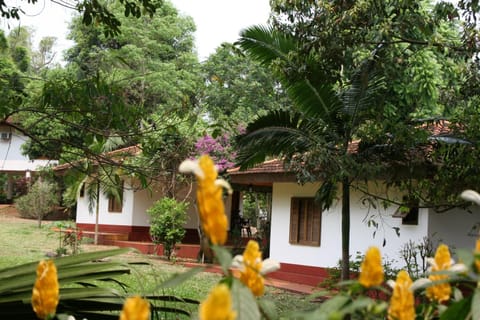 Facade/entrance, Garden