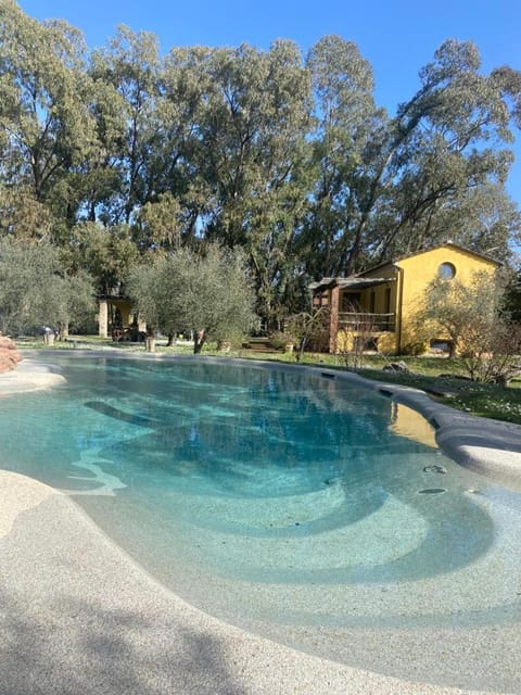 Garden, Garden view, Pool view, Swimming pool