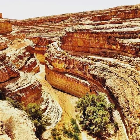 Résidence Loued Bed and Breakfast in Tunisia