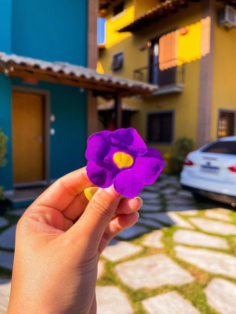 Recanto das Tiribas Apartment in Ilhabela