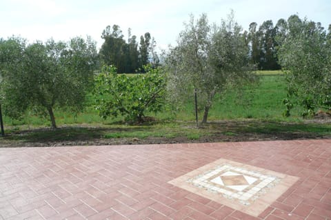 Fattoria San Vincenzo Farm Stay in Tuscany