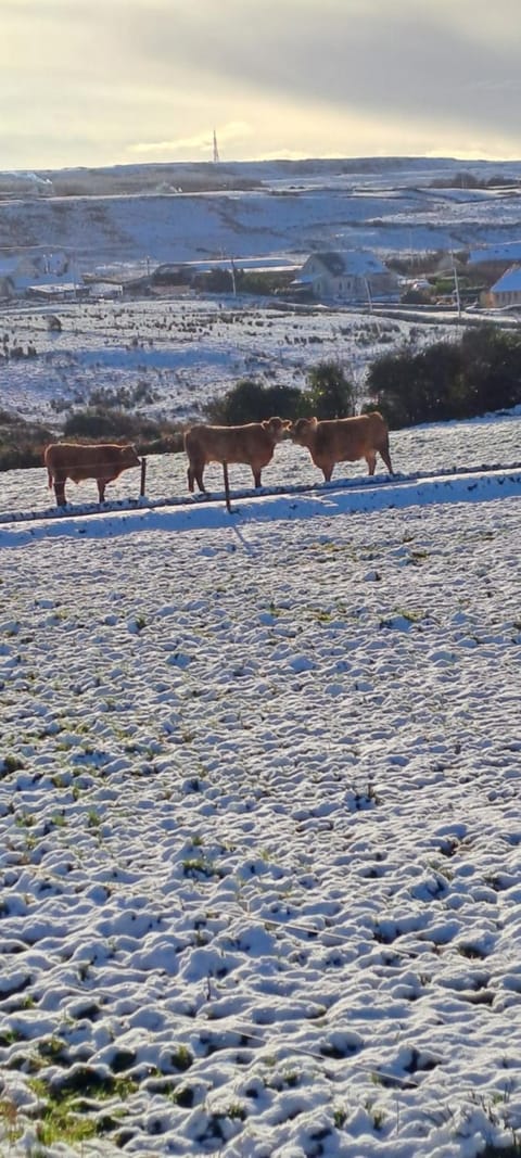 Doolin Farm Apartment Apartment in County Clare