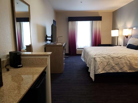Best Western Plus San Antonio East Inn & Suites Hotel in San Antonio