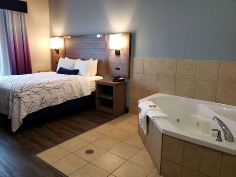 Best Western Plus San Antonio East Inn & Suites Hotel in San Antonio