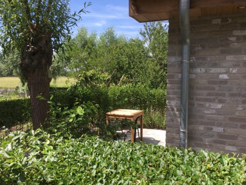 Garden, Balcony/Terrace