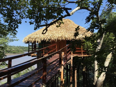 Juma Amazon Lodge Hotel in State of Amazonas