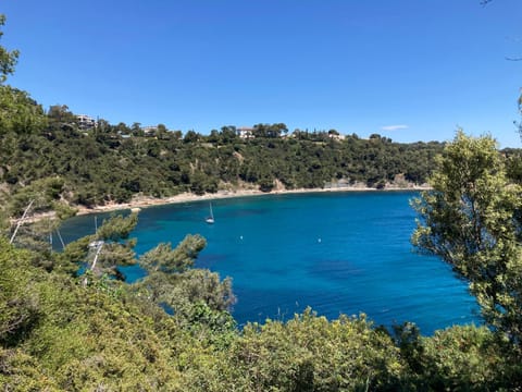 Natural landscape, Sea view