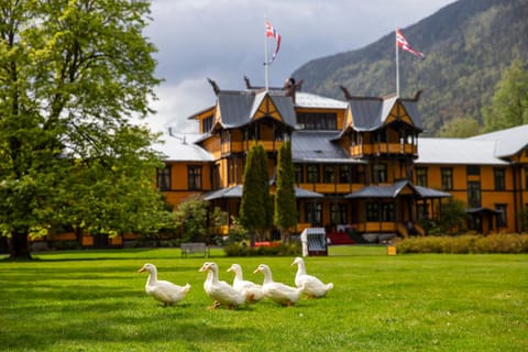 Property building, Garden, Animals, Garden view