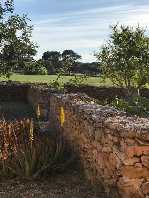 Garden, Garden view