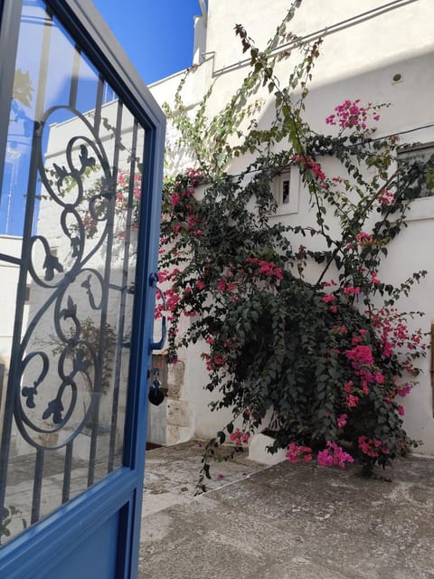 Casa Mirabilis 44 House in Ostuni