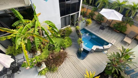 Garden, Garden view, Swimming pool