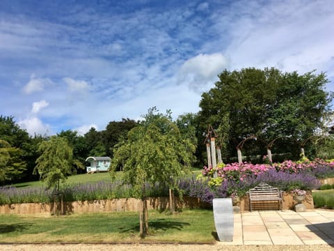 Snipe Vineyard Cottage Apartment in Babergh District